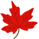 Maple leaf