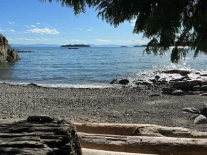 A west coast beach with large white longs and blue water and sky.